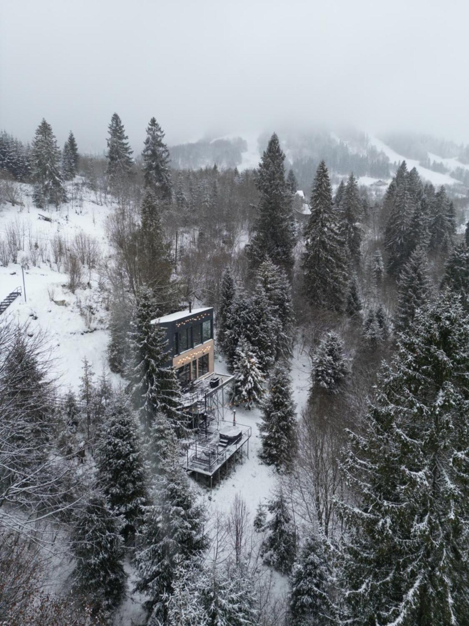 Forest Hub Villa Szlavszke Kültér fotó