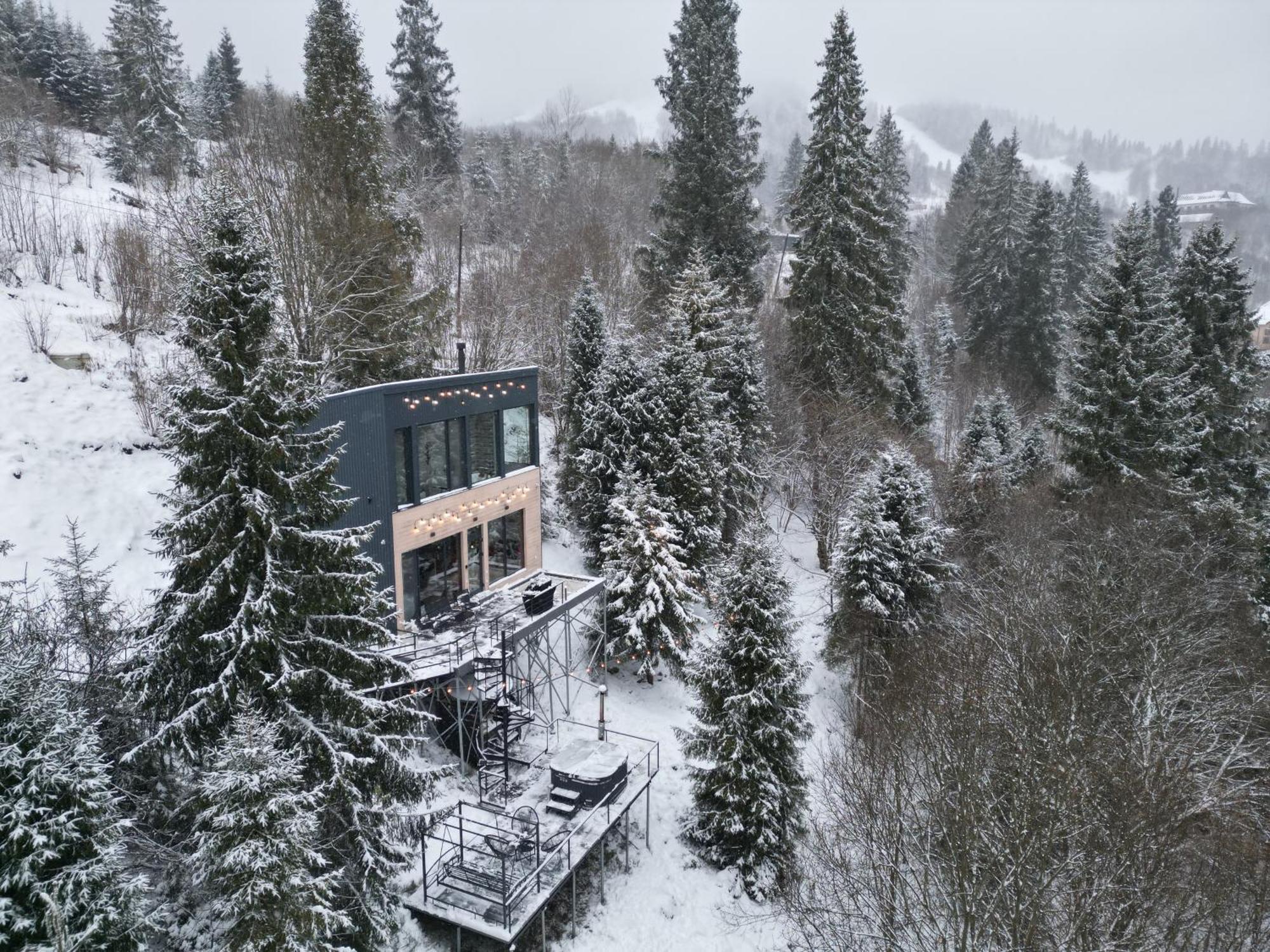 Forest Hub Villa Szlavszke Kültér fotó